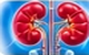 Urology Treatment
